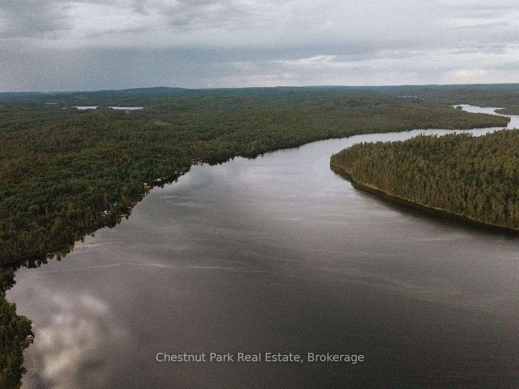 Cassels Lake
