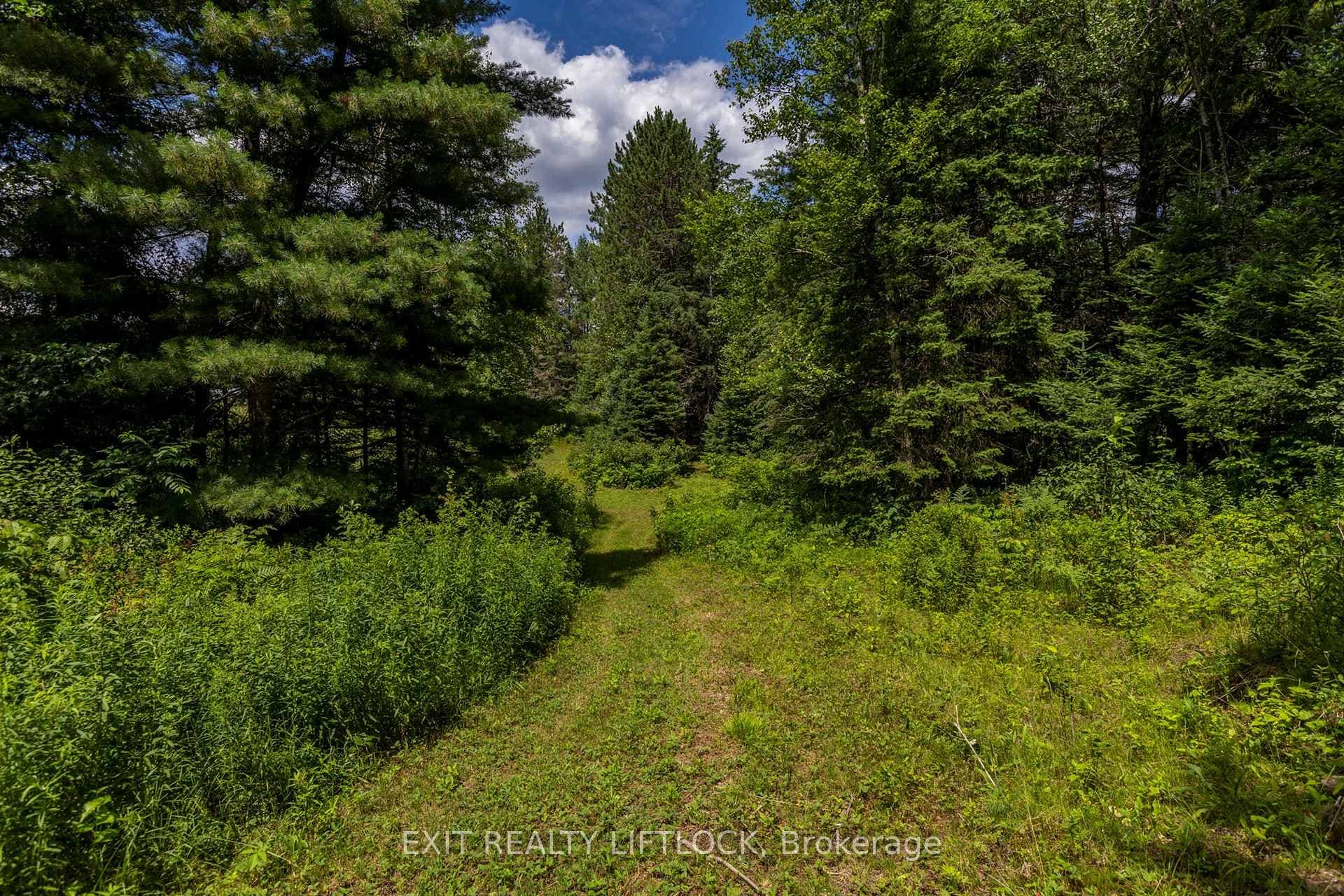 388 Bobcaygeon Road photo 36