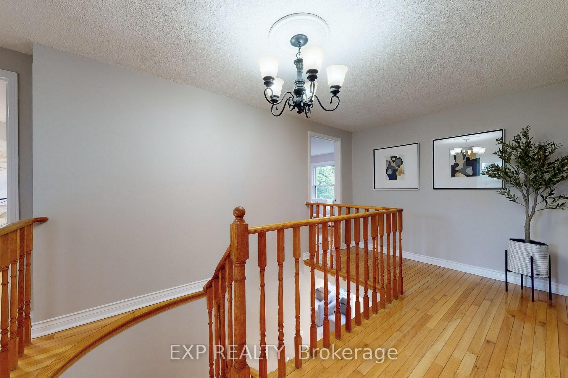 113 Large Crescent photo 17