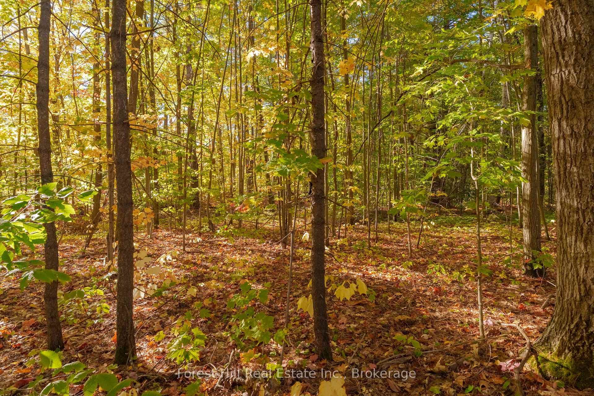 3864 Highway 118 N/A photo 29