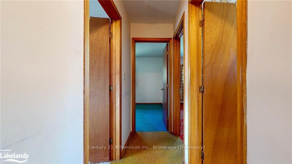 46 LOUISA Street photo 22