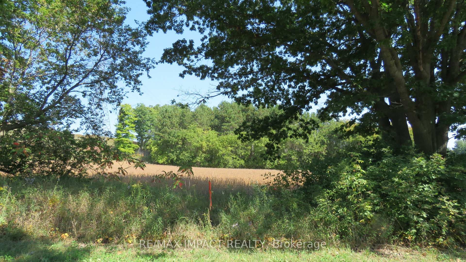 00 Gainforth Road photo 9