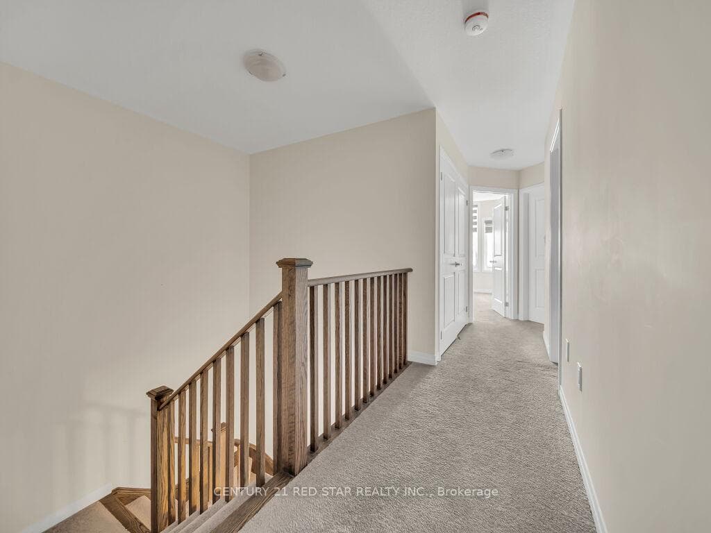 262 Newman Drive photo 23