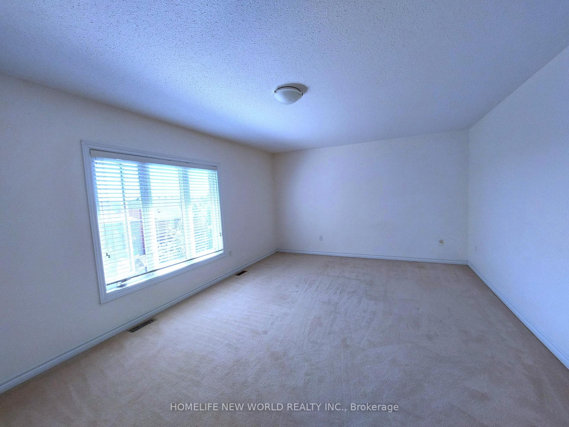 223 Bilbrough Street photo 9