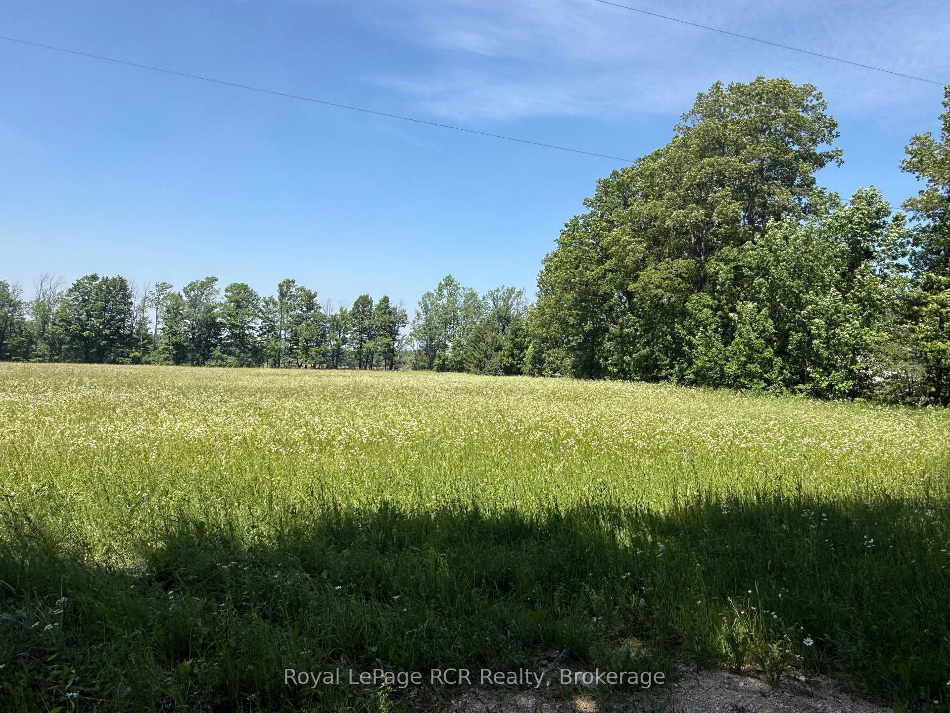 Lot 2 Part Lot 17 Bells Lake Road photo 6