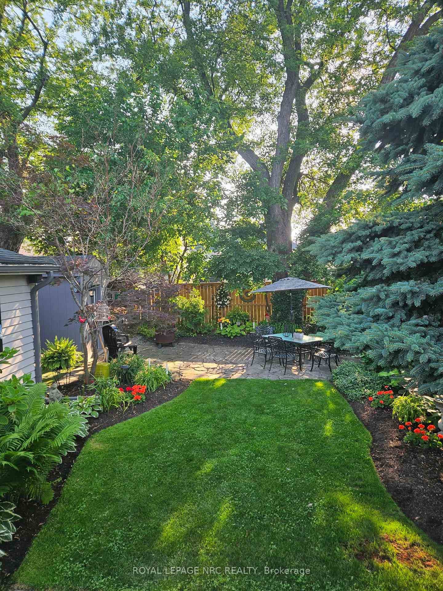 Back Patio Area
