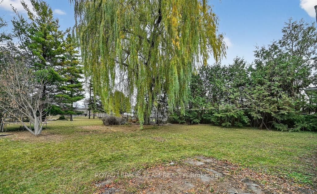 Beautiful backyard with Massive Willow Tree