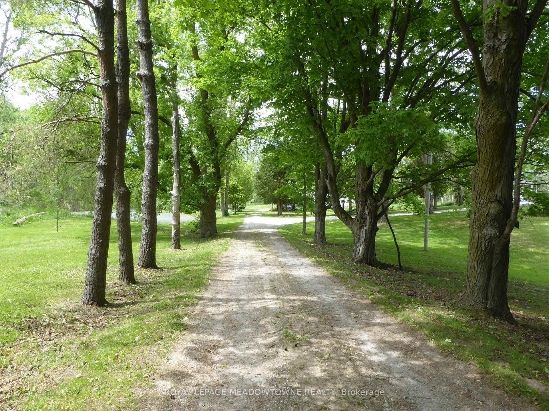 5595 25 Side Road photo 48