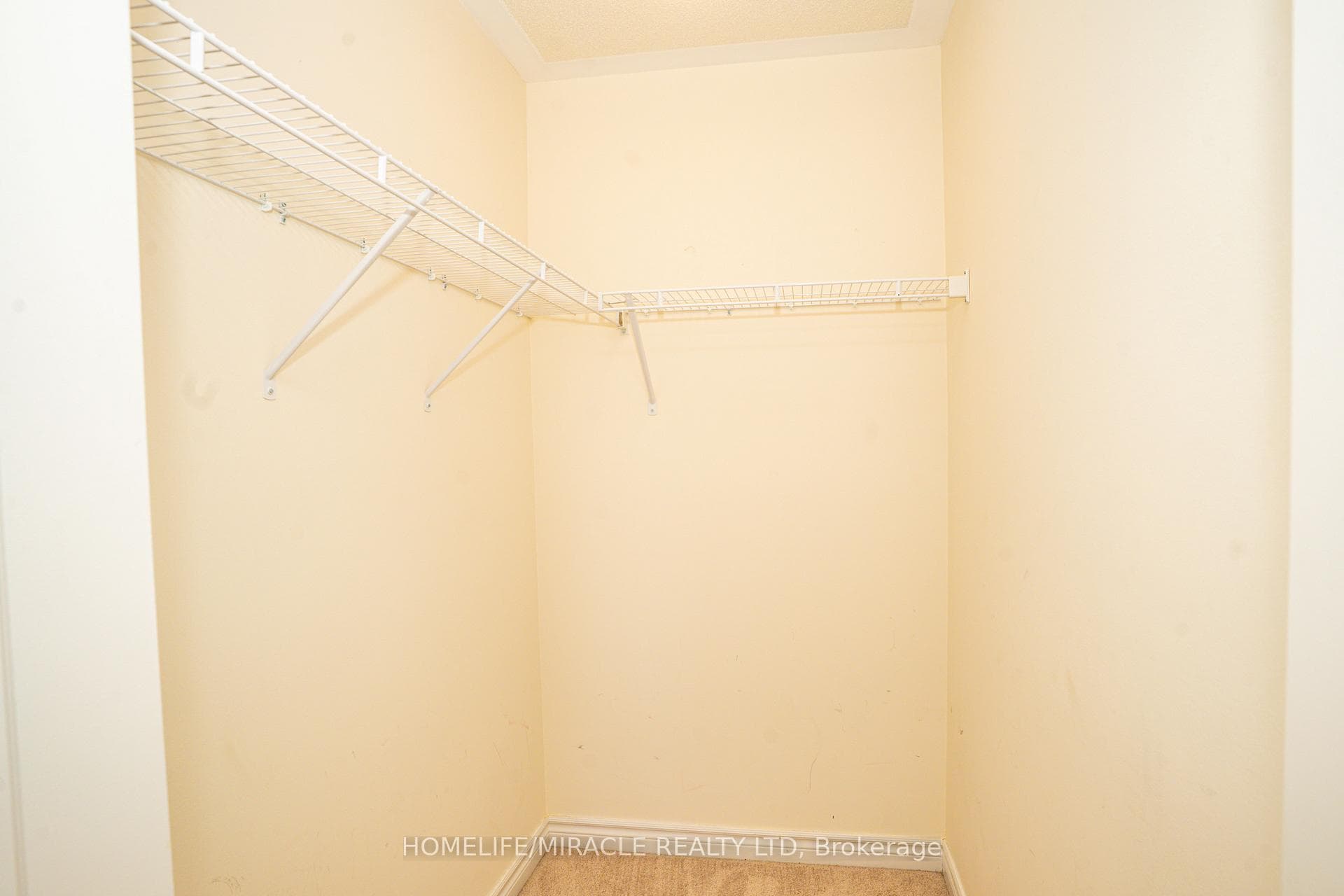 52 Douet Lane photo 22