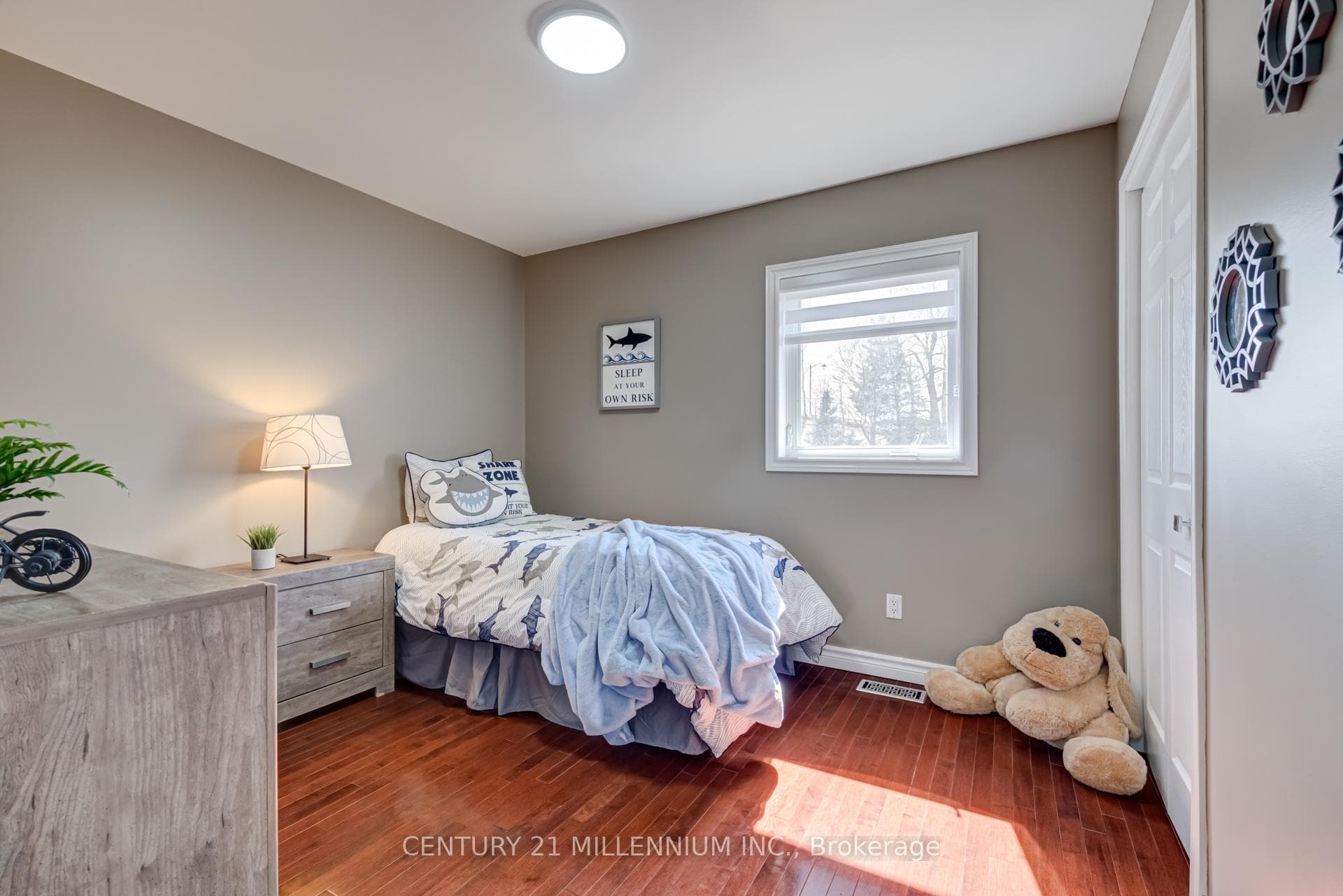 26 Emeline Street photo 25