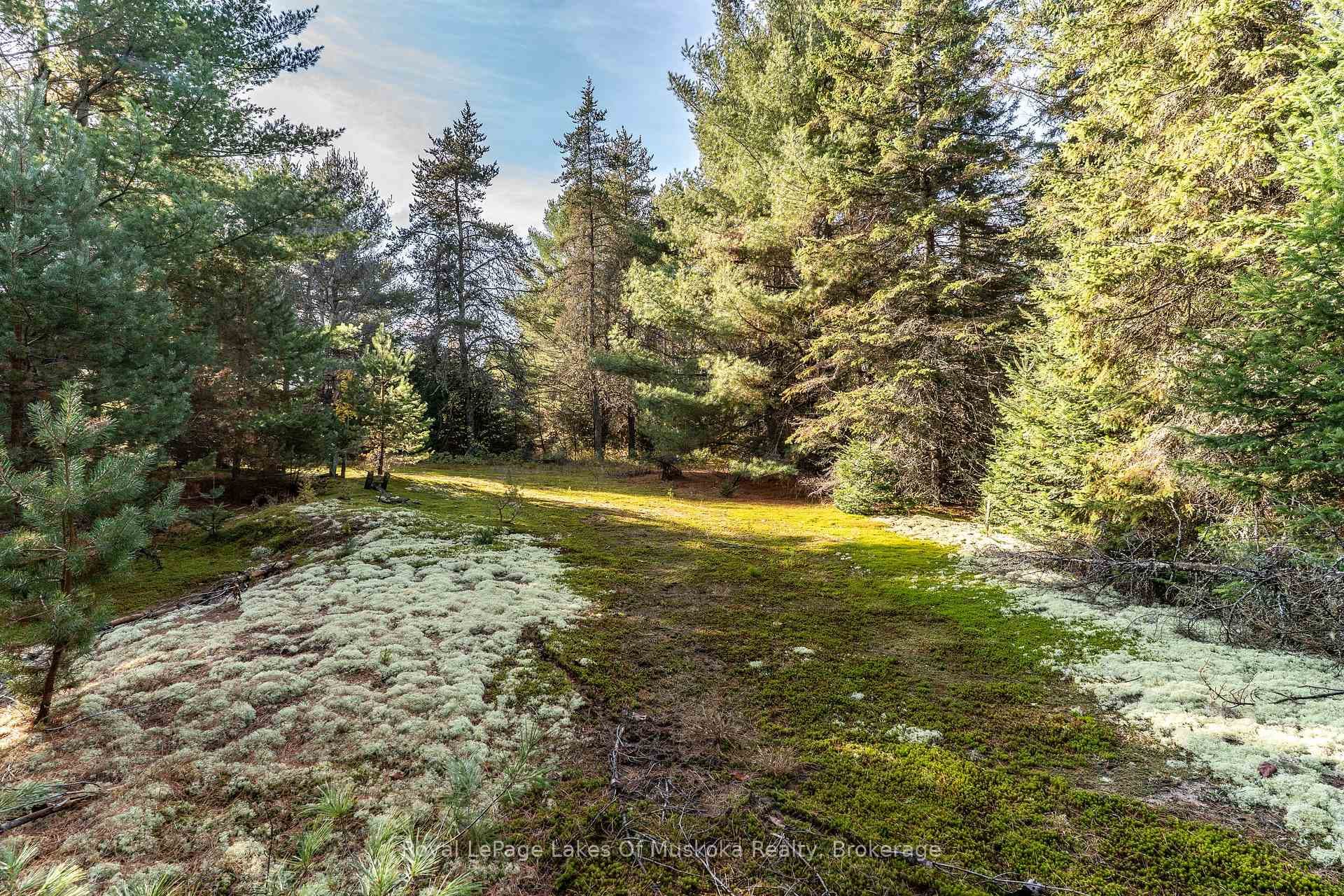 267 & 321 Cardwell Lake Road photo 16