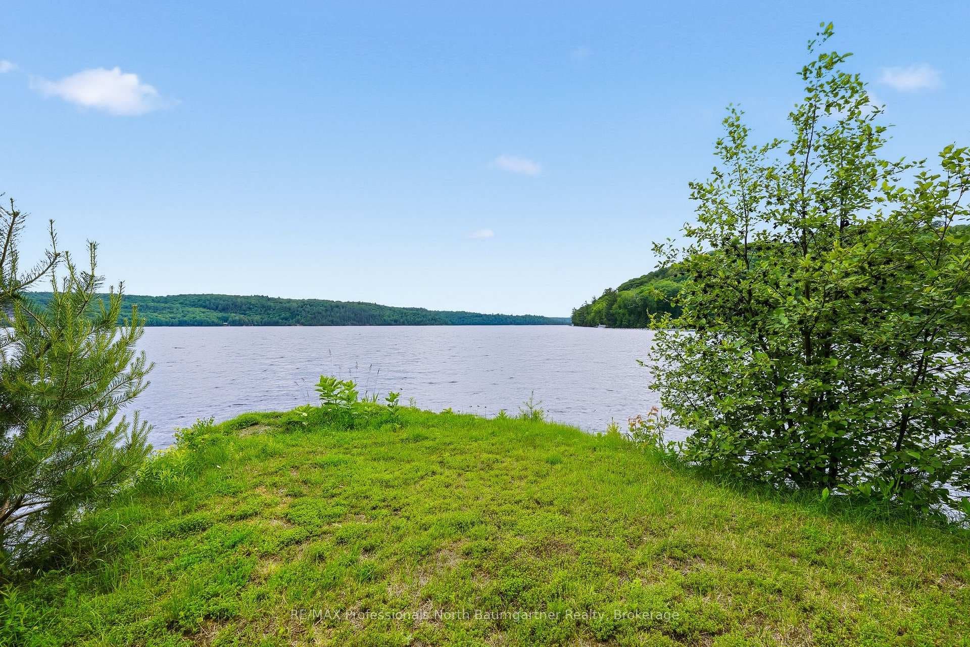 1282 Carroll Road photo 41