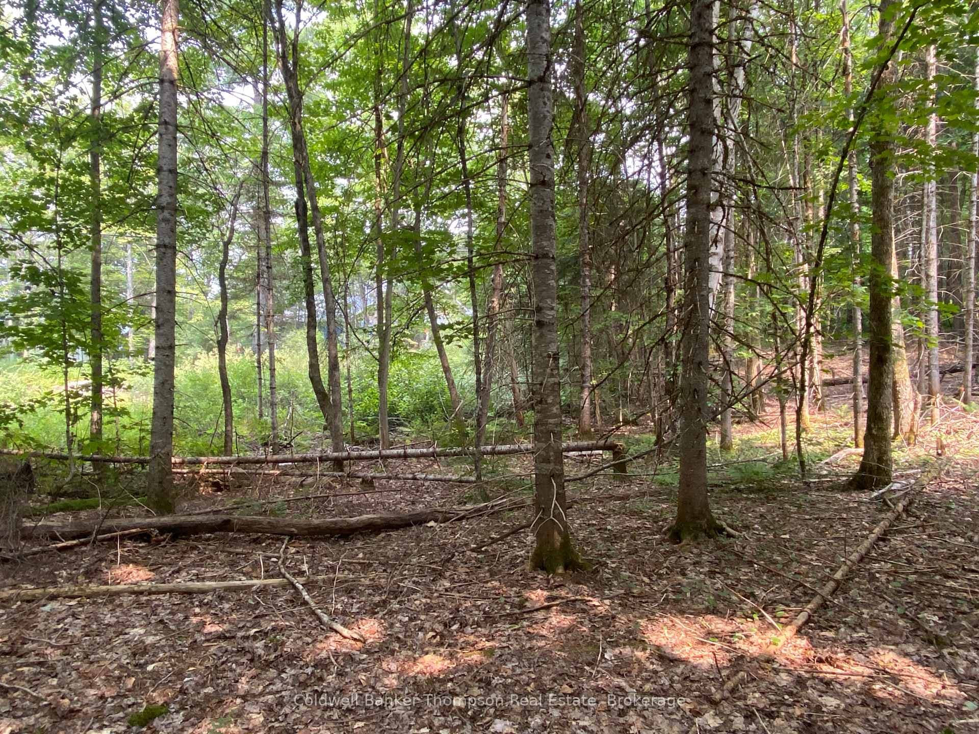 1080 Healey Lake Road photo 21