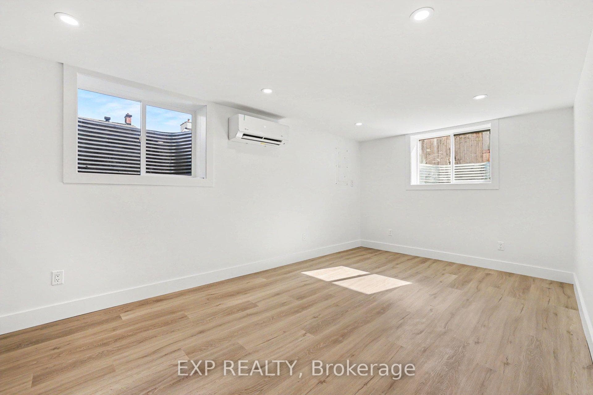 Lower level Living/Family room area