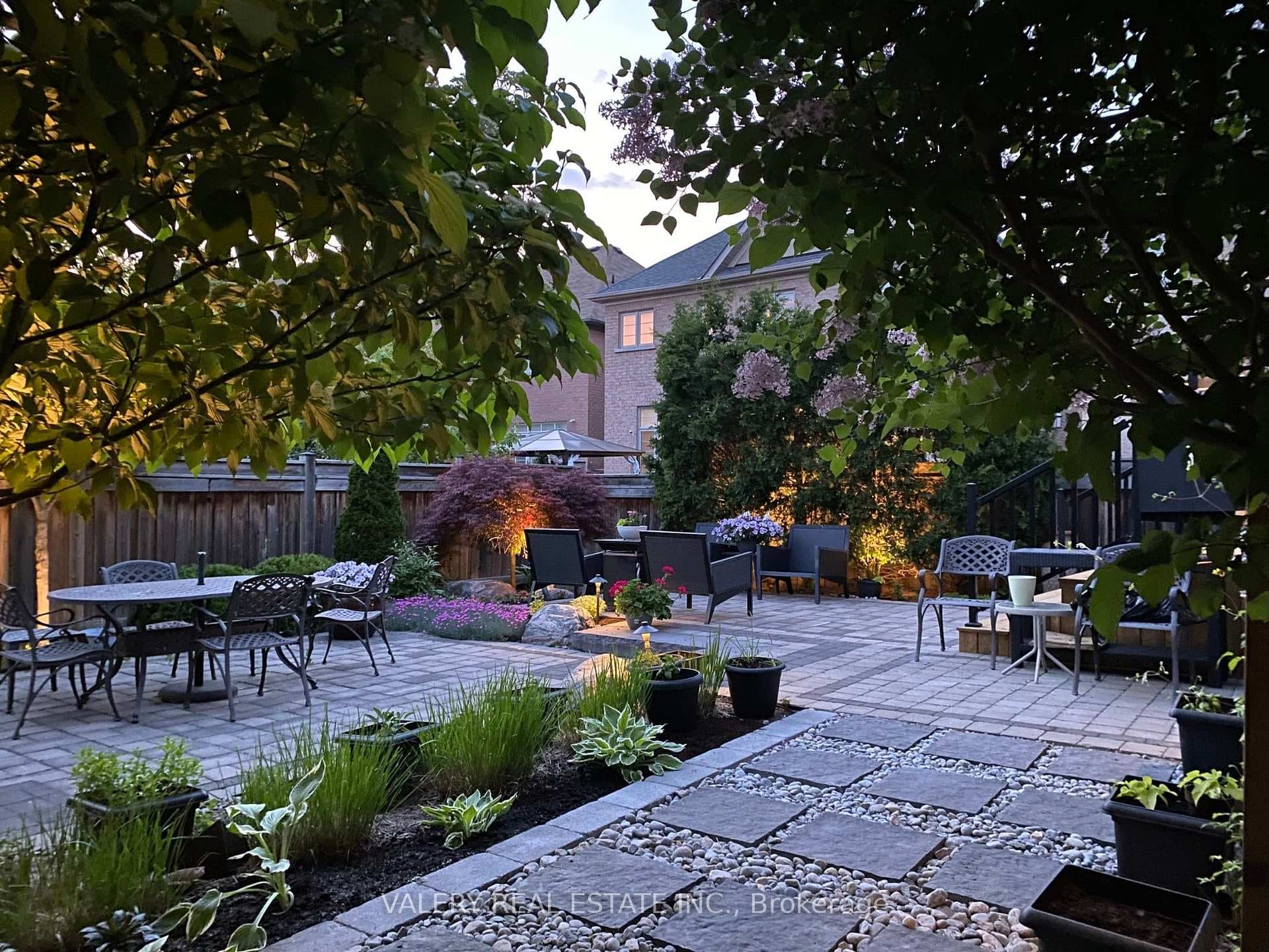 Backyard Summer Evening