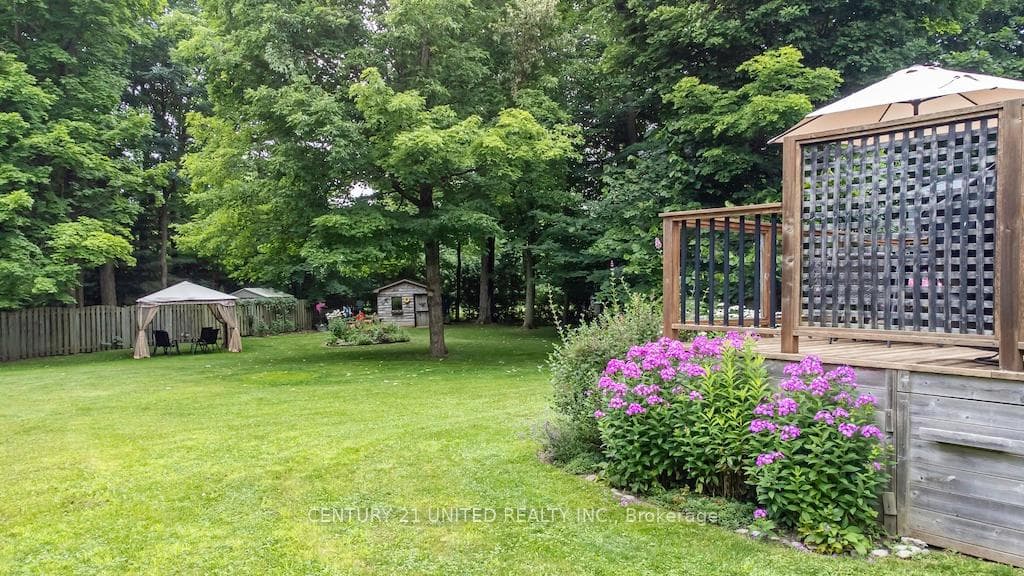 55 Cooper Court photo 40