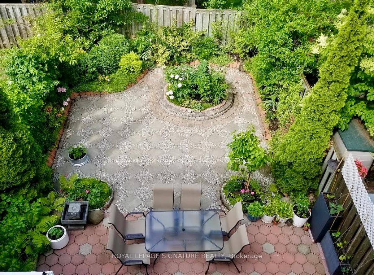 Treed Backyard In Summer