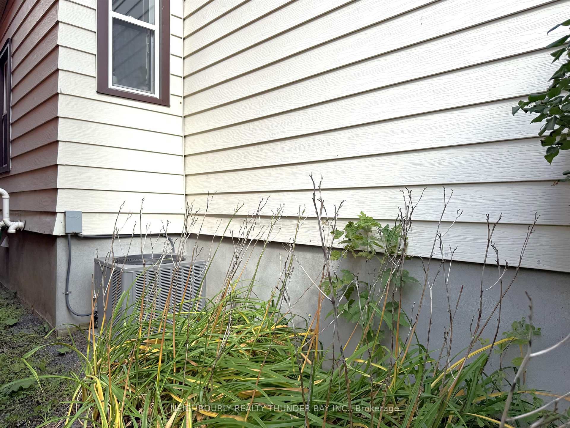148 Machar Avenue photo 34