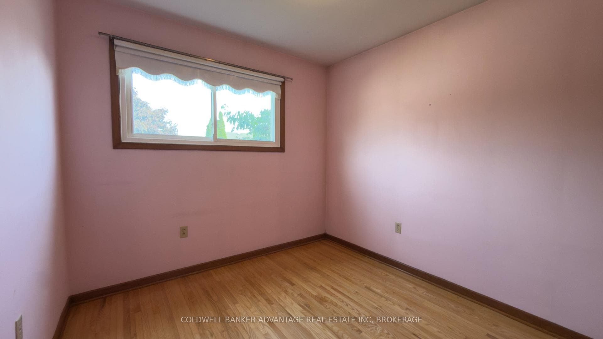 987 Steele Street photo 24