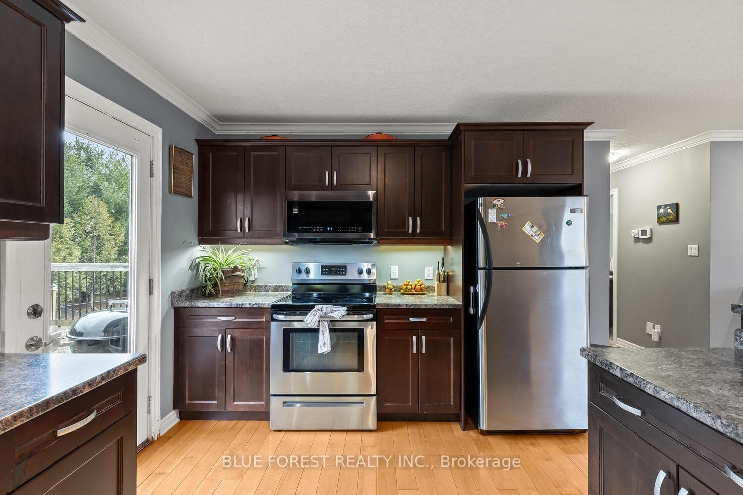 123 Watson Street photo 16