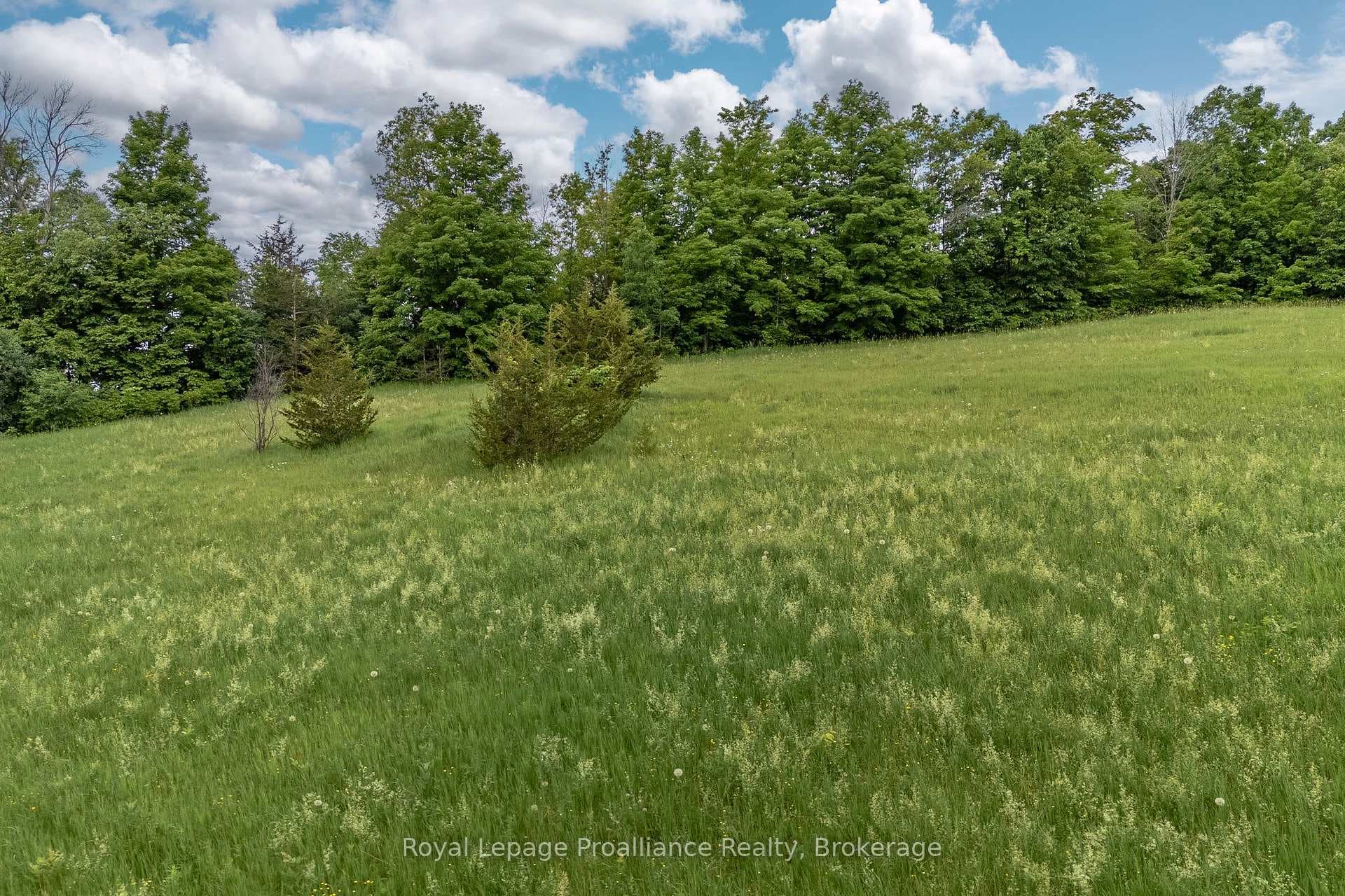 5035 BLESSINGTON Road photo 13
