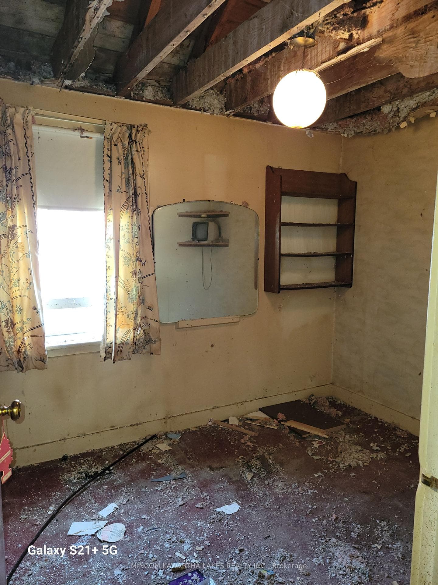 1019 Brewer Street photo 6