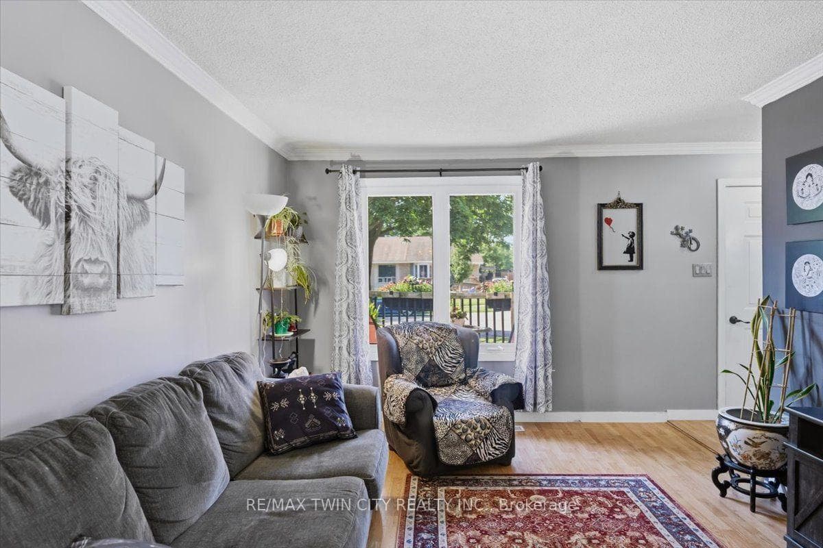 16 Palomino Drive photo 10