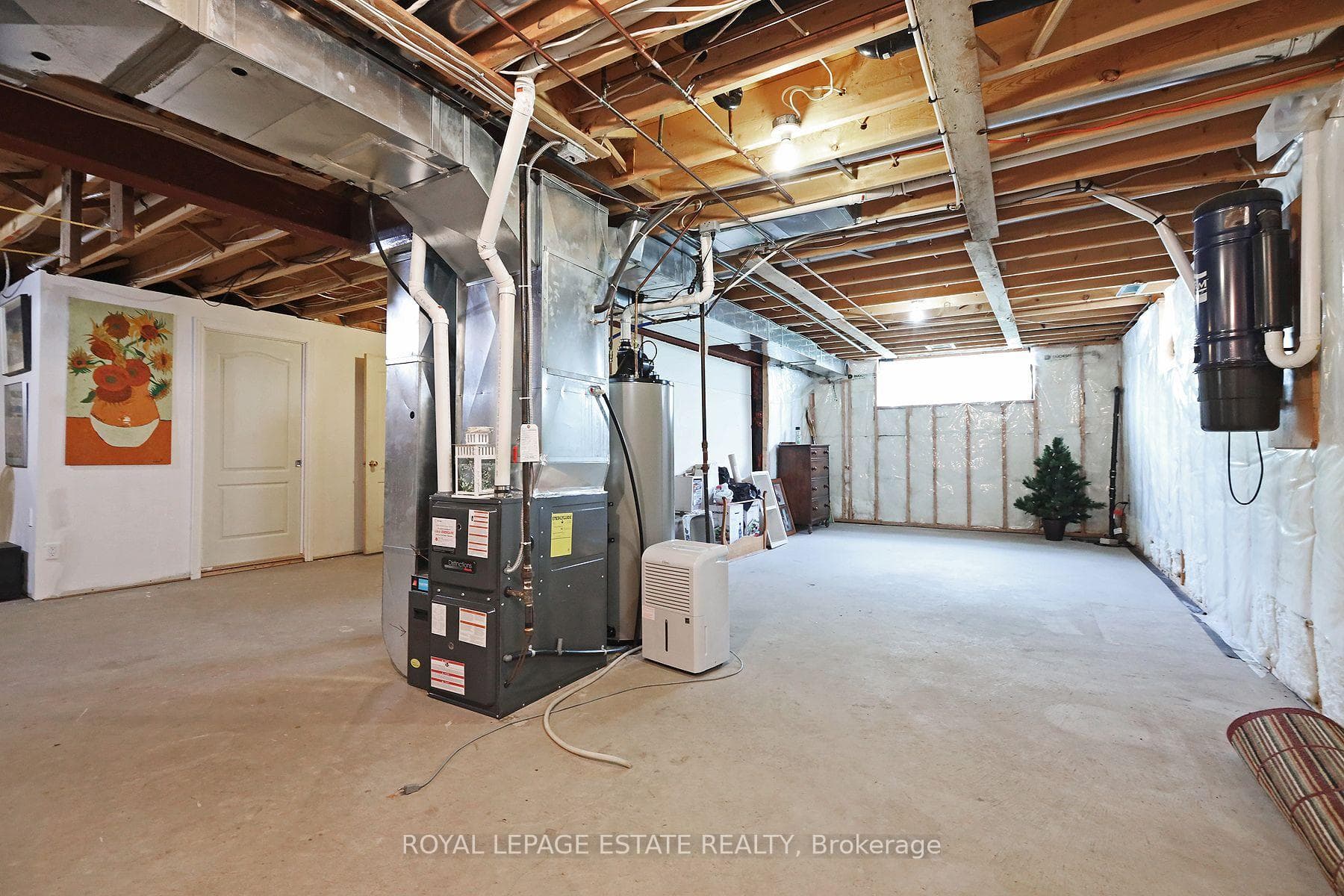 Huge basement, large bright window