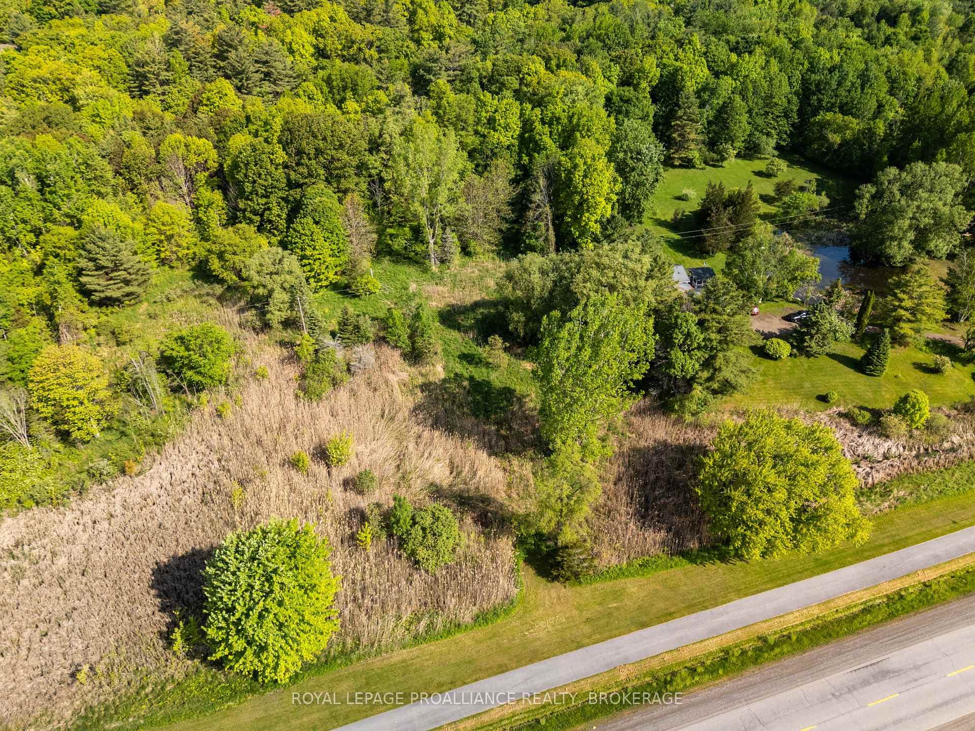 1168 Thousand Island Parkway photo 4