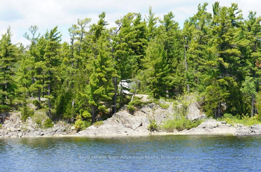 TP3411 ISLAND FRENCH RIVER N/A photo 28