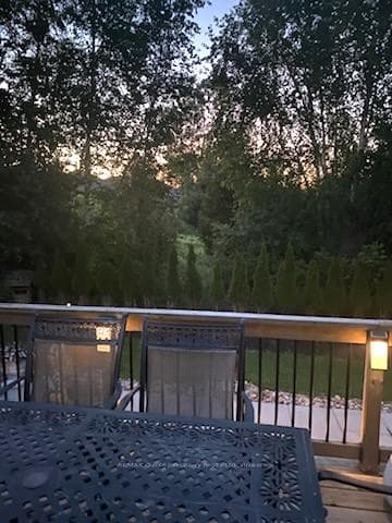 46 Birchmount Street photo 48