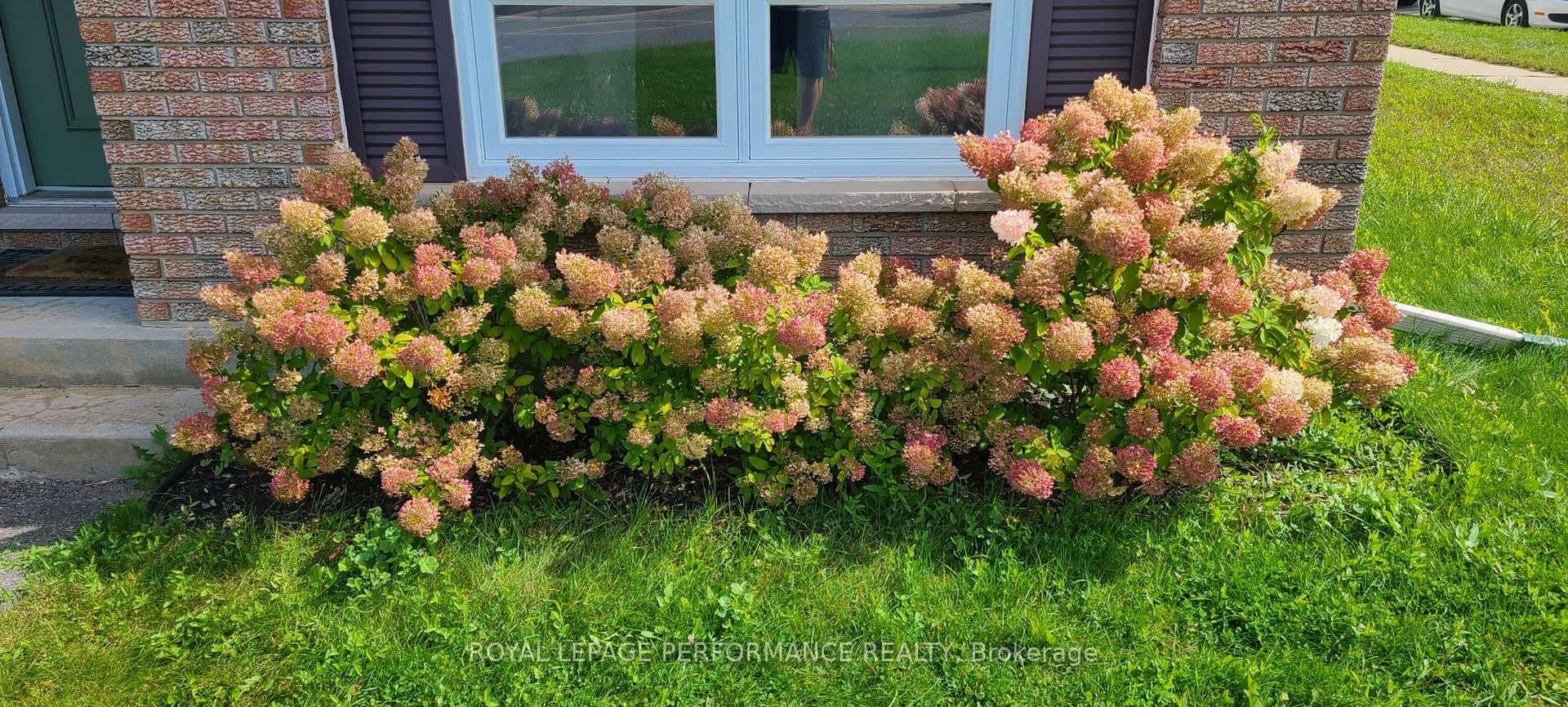 Garden images from prior years provided by seller.