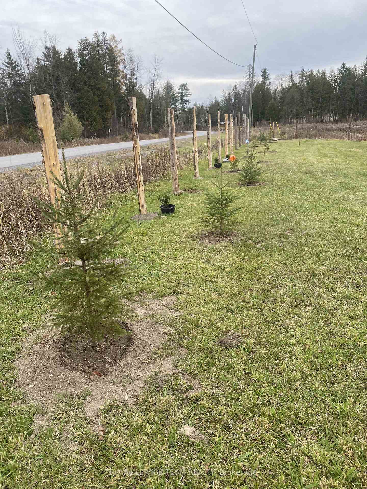 5166 Loggers Way photo 15