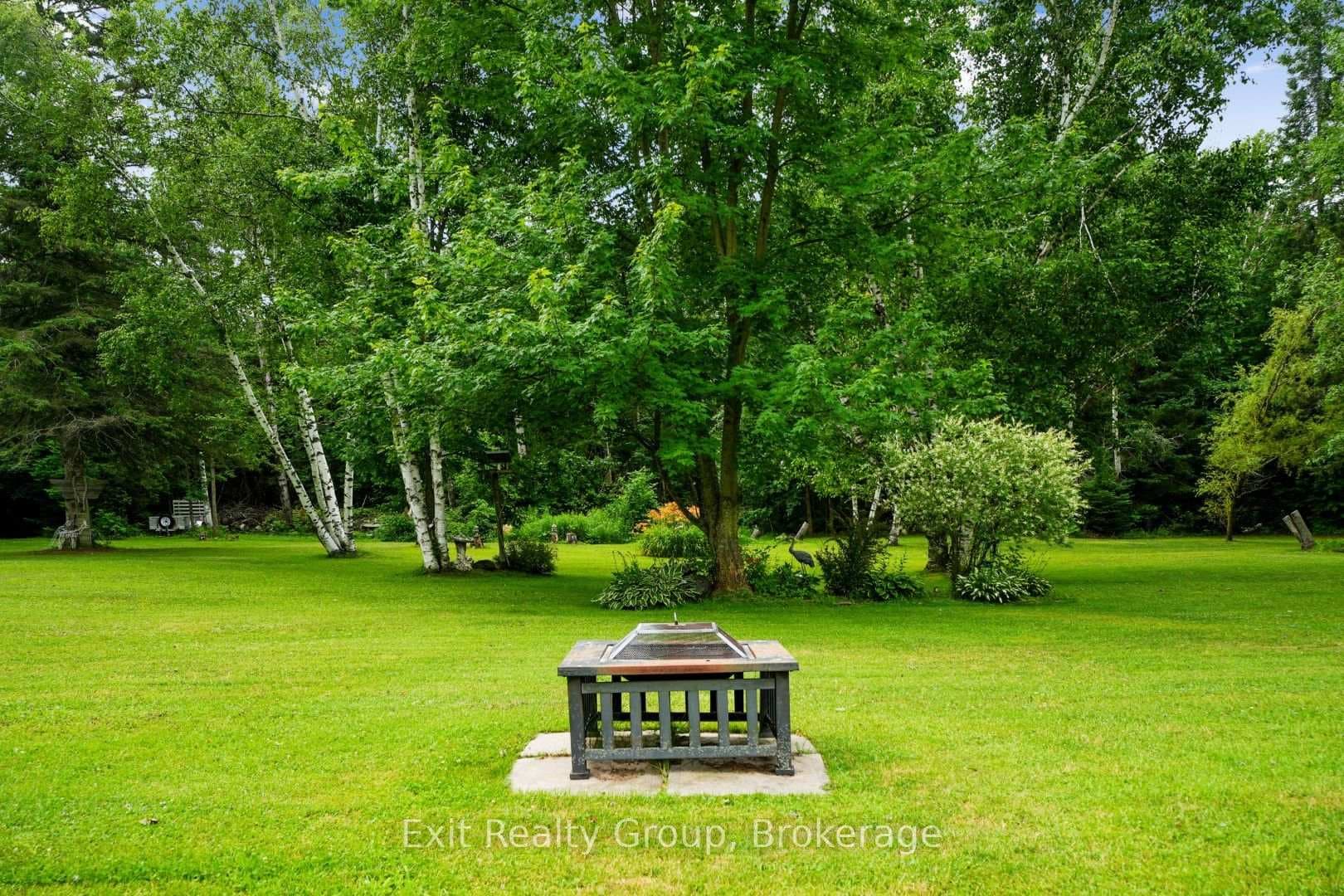 31 Birchwood Court photo 41
