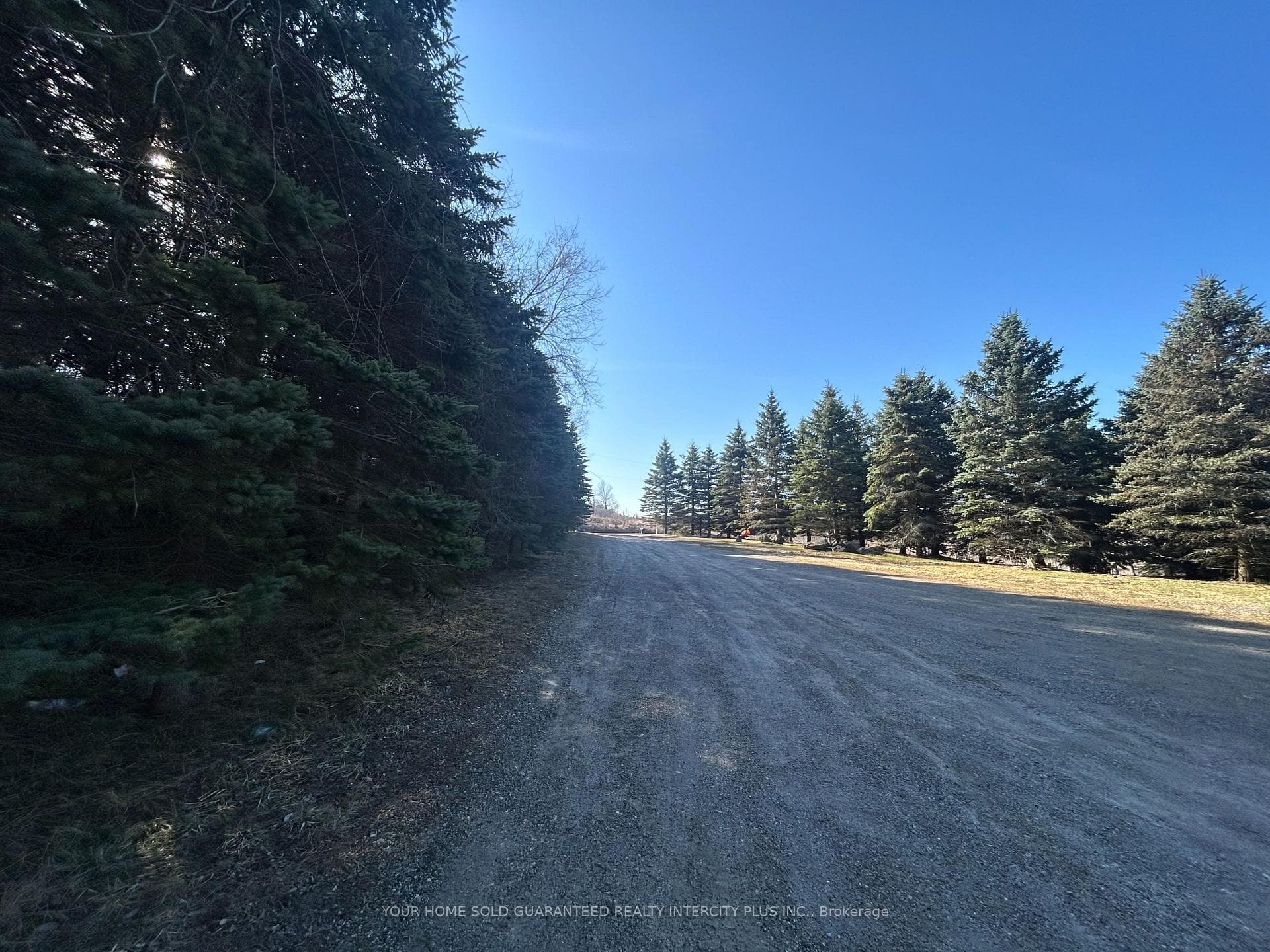 3330 17th Side Road photo 32