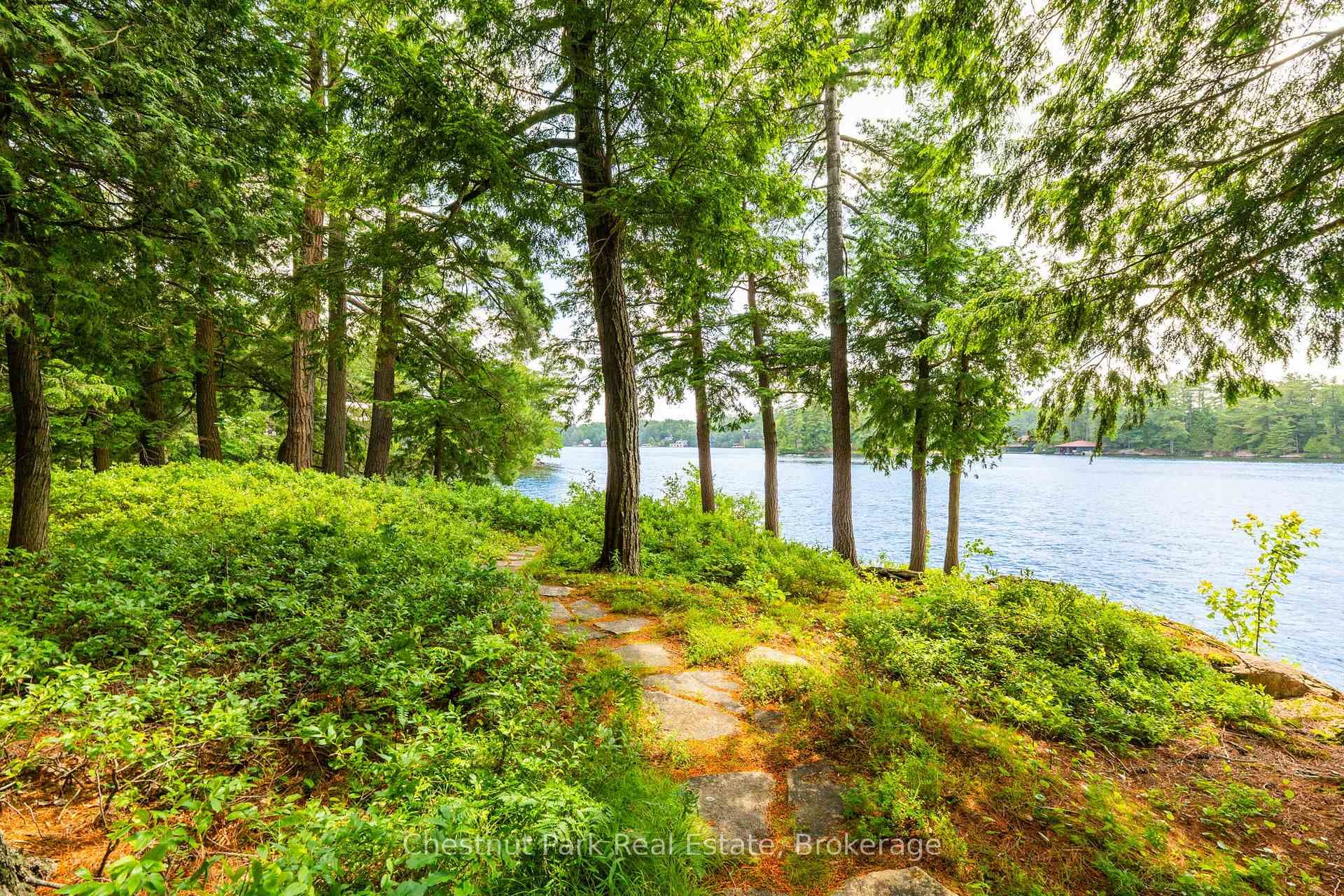1111 Hemlock Point Side Road photo 4