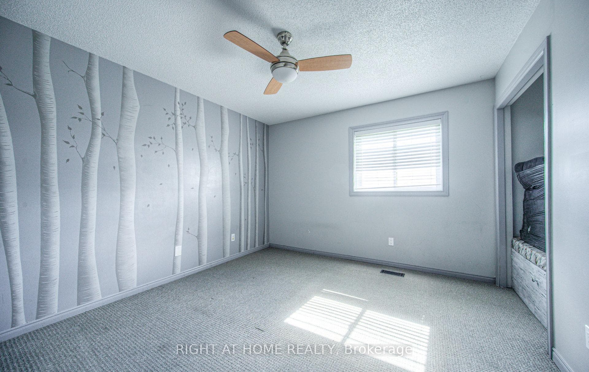 119 Wendy Court photo 19