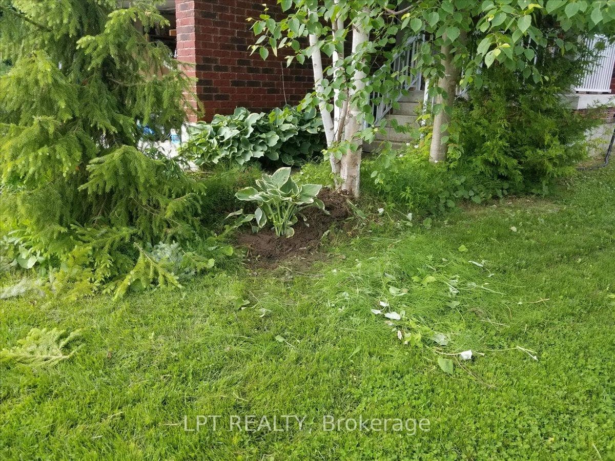 62 Williams Street photo 44