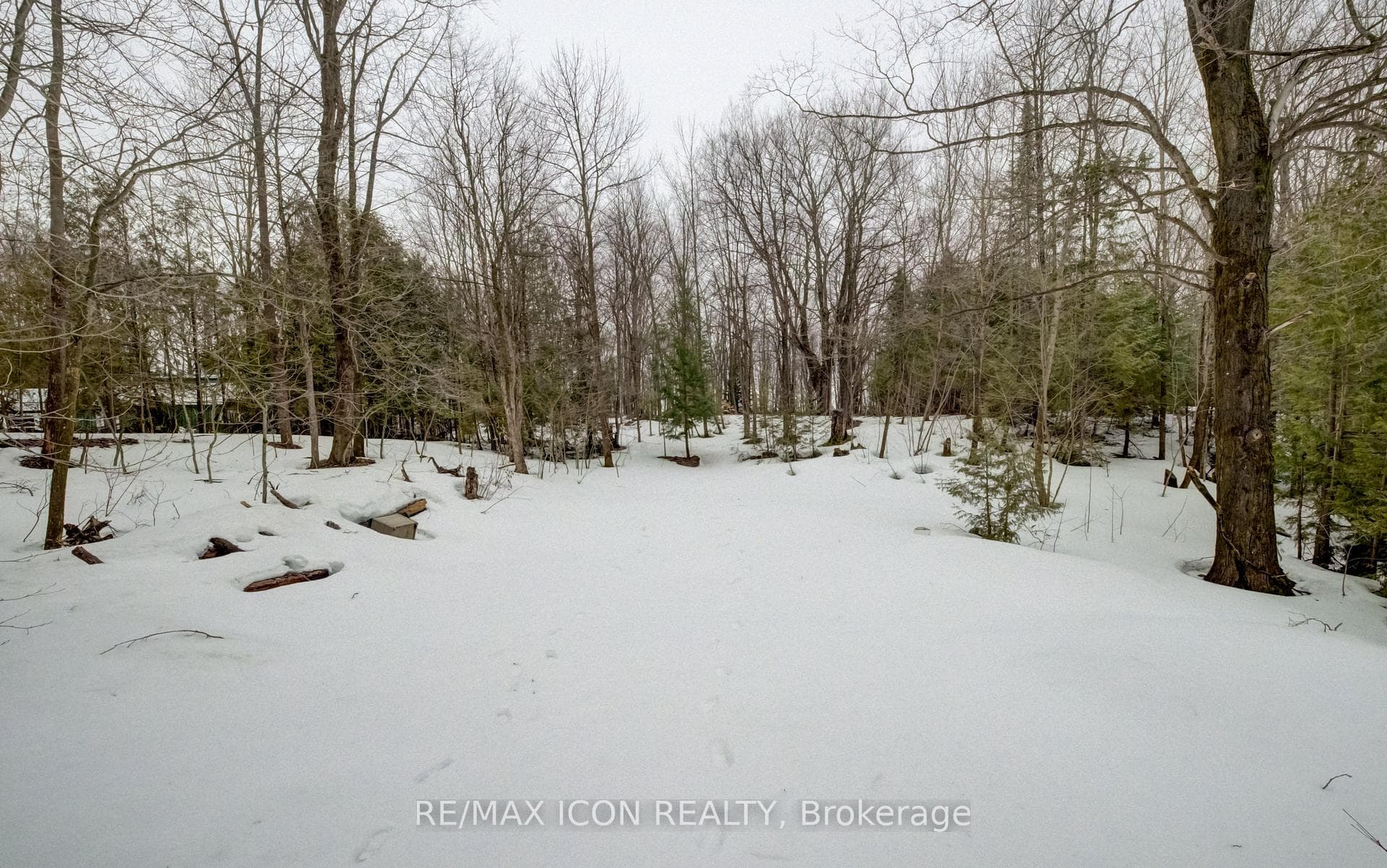263074 Wilder Lake Road photo 17