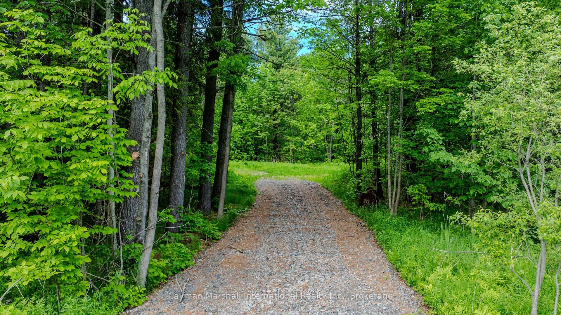 2682 Muskoka District 118 Road photo 4