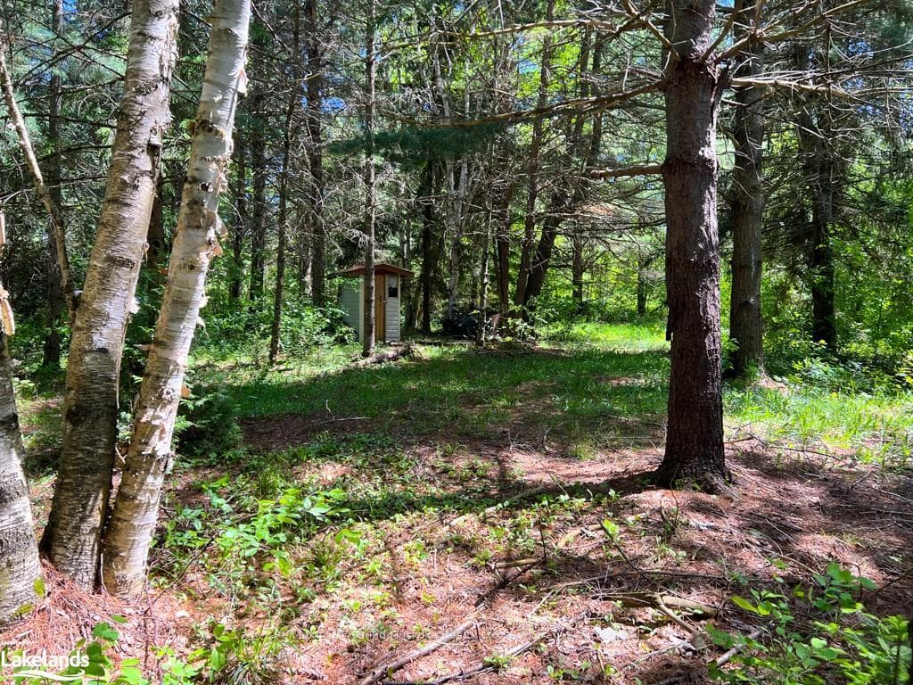 93 GIBSON BAY Road photo 15
