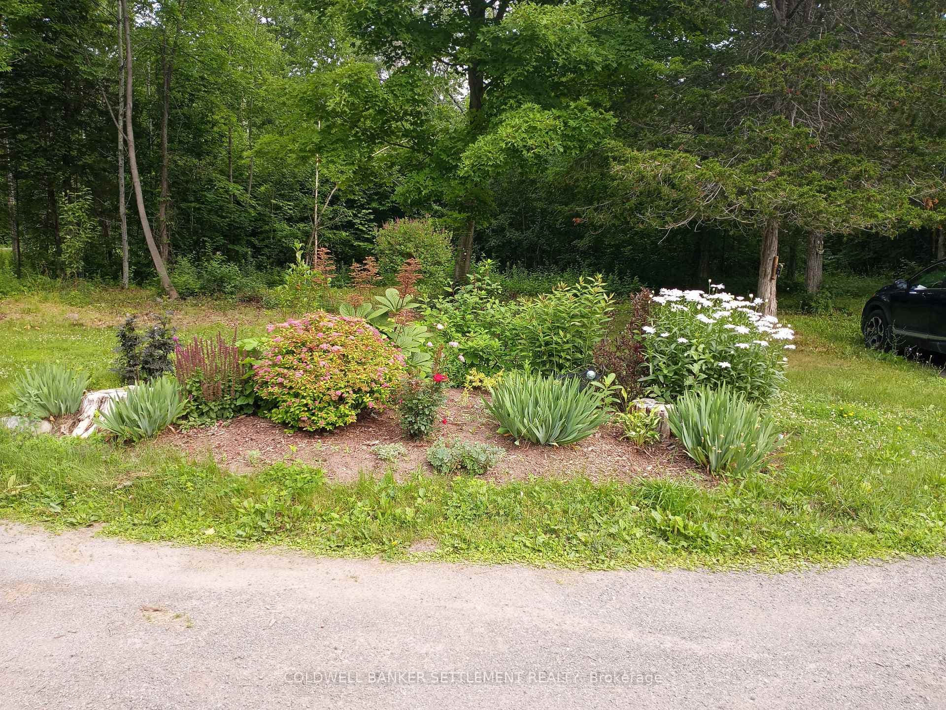 10007 Perth Road photo 39