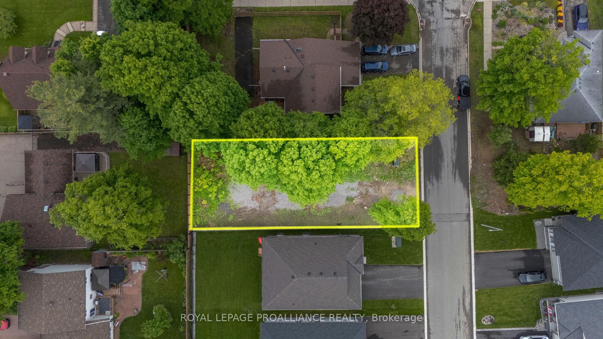 4 Adley Drive photo 5