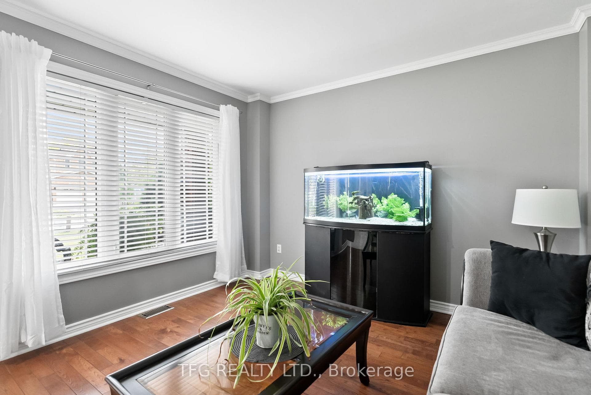 4 Mcivor Street photo 14