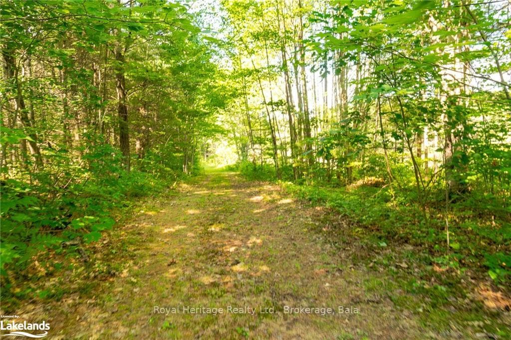 1186 SAM COOK Road photo 26