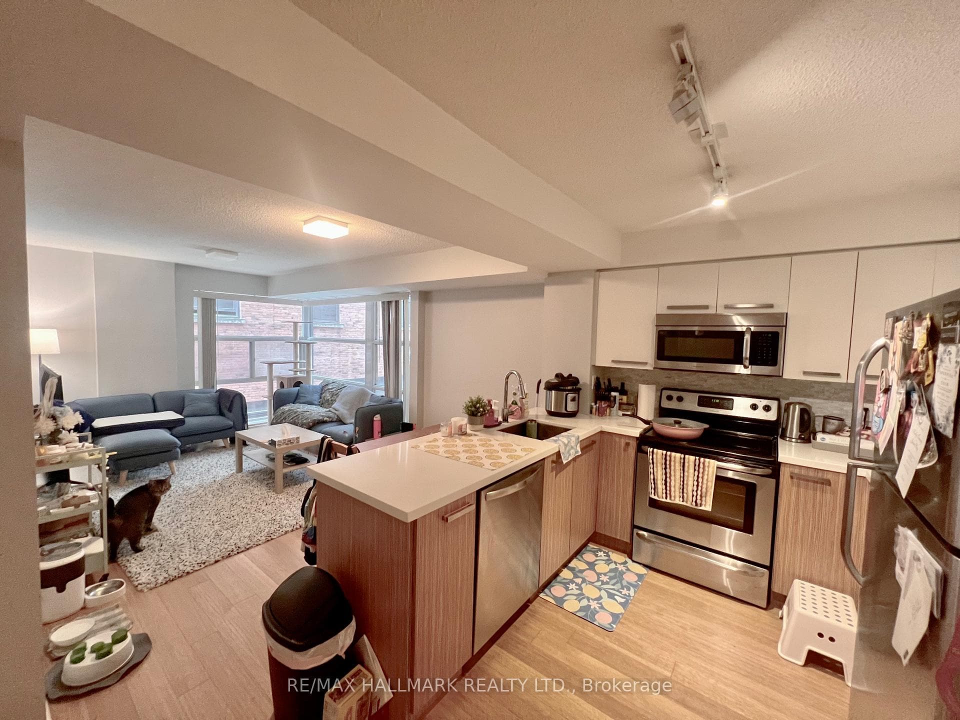 11 St Joseph Street Unit 218 photo 4
