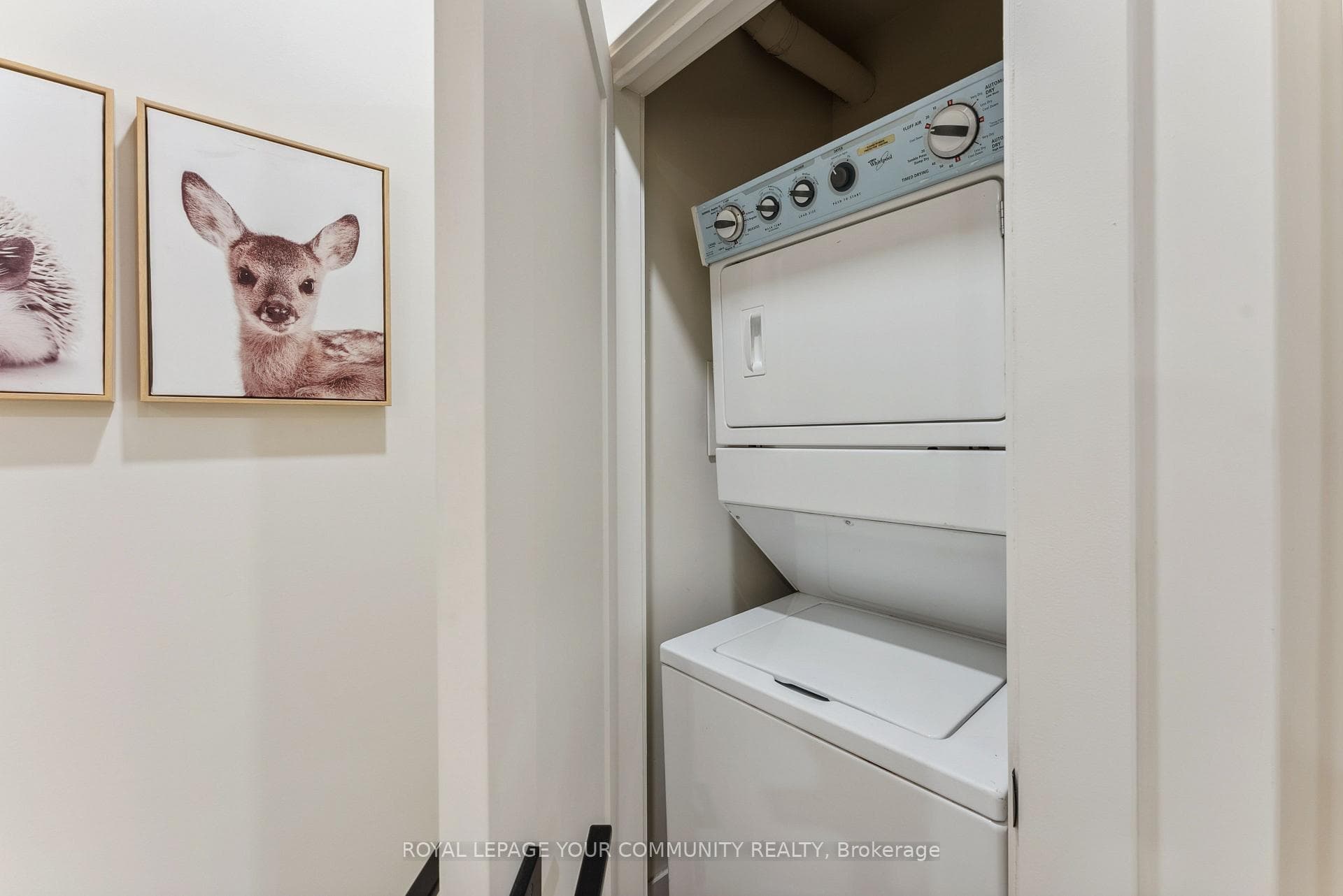 12 Lamb Avenue photo 27