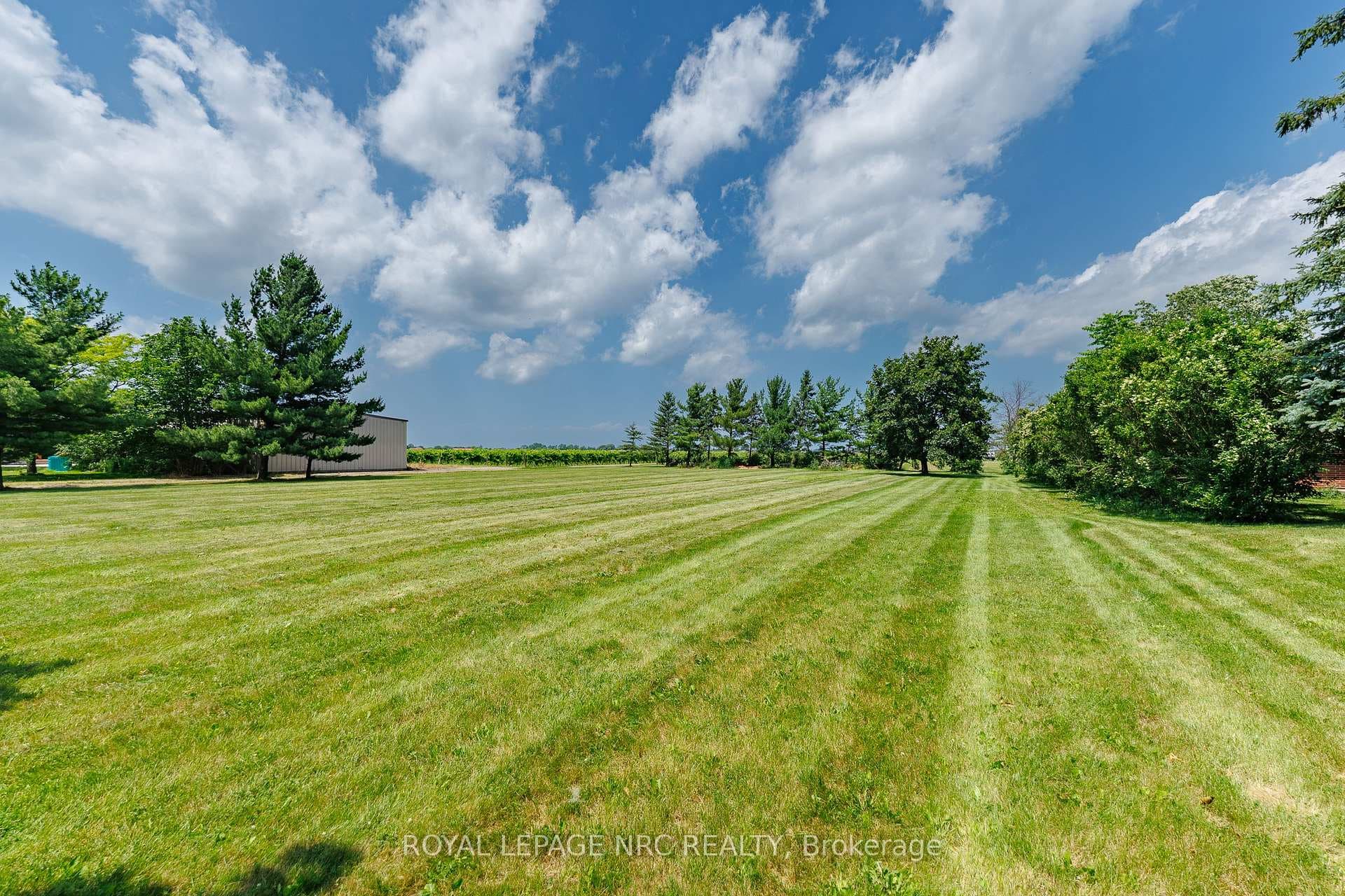 Land on the left side of the house