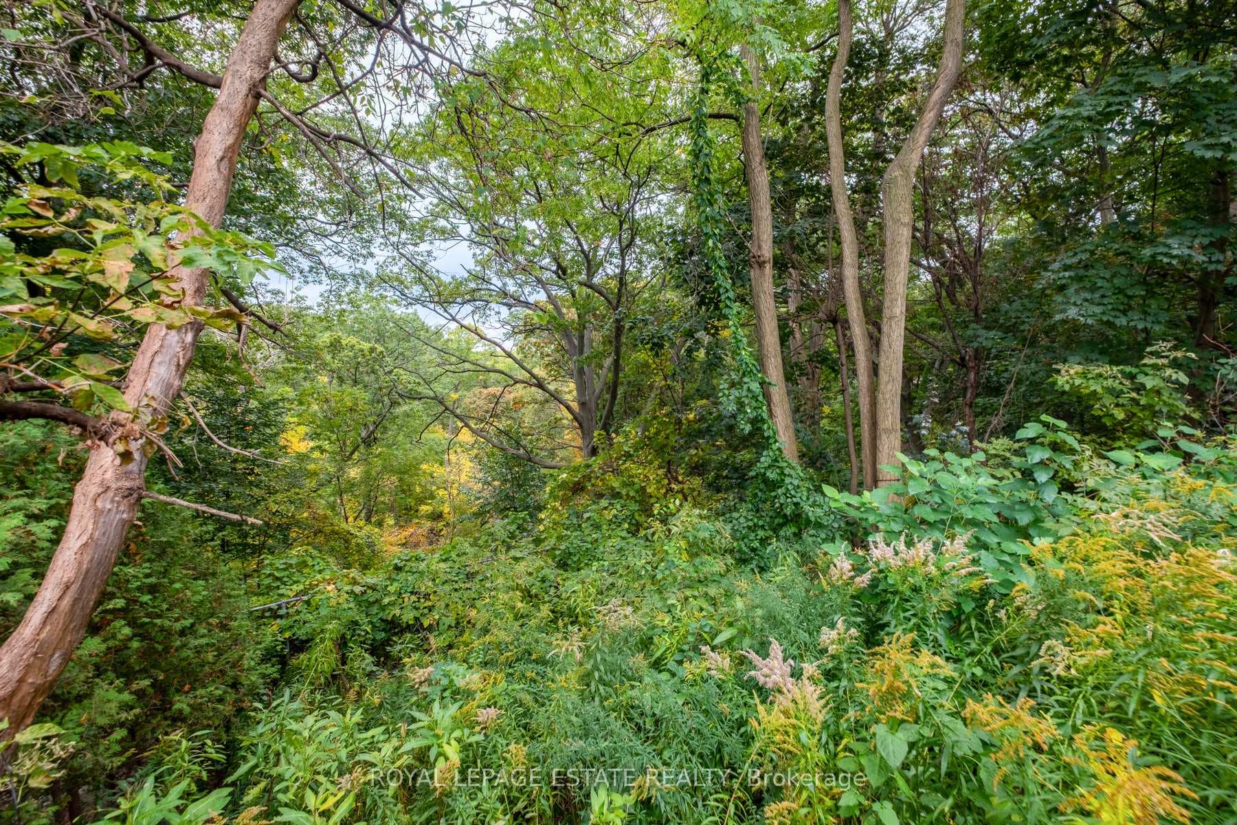 767 Kingston Road Unit Bsmt photo 15