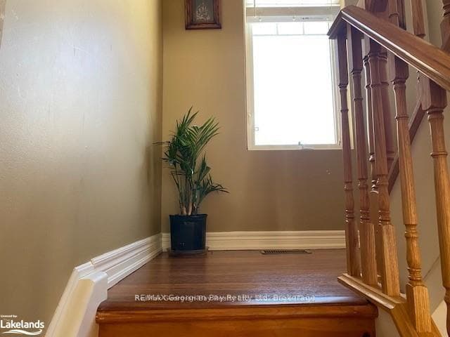 139 Trout Lane photo 22